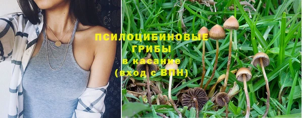 ALPHA-PVP Волоколамск