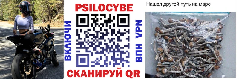 Псилоцибиновые грибы прущие грибы  Сокол 