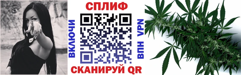 МЕГА рабочий сайт  закладка  маркетплейс состав  Марихуана конопля  Сокол 